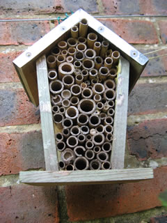 Bee and insect house